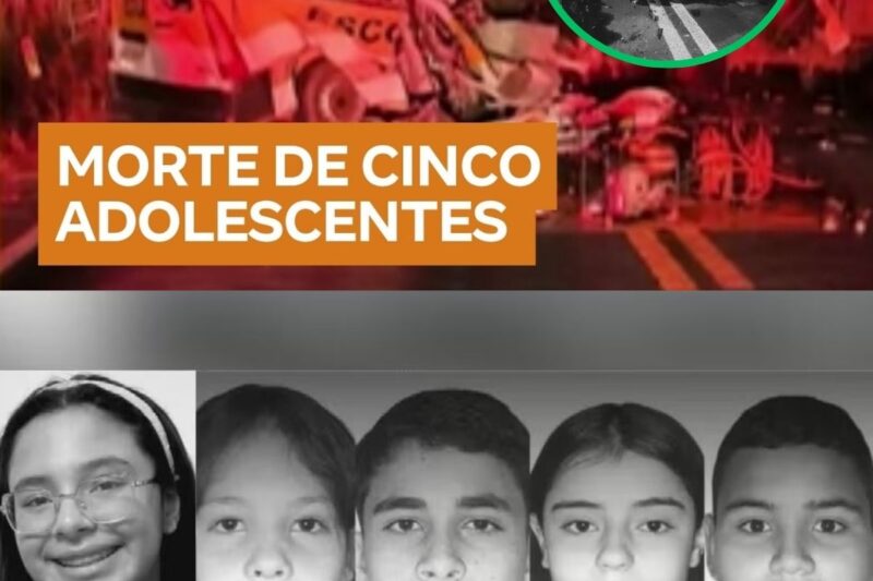 Tragédia em Goiás: Cinco Estudantes Perdem a Vida Após Van Escolar Colidir Violentamente com Caminhão Parado em Rodovia